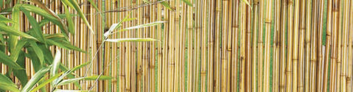 Bambooflex - celý prírodný bambus