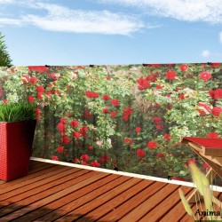 Zástena na balkón STYLIA / 3x1m kvety-ruže